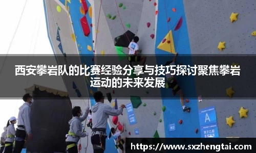 球速体育平台入口