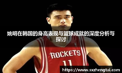 球速体育平台入口