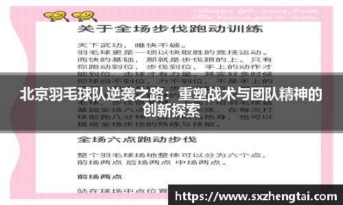球速体育平台入口