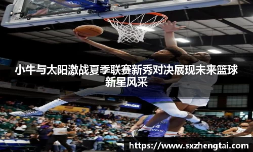 球速体育平台入口