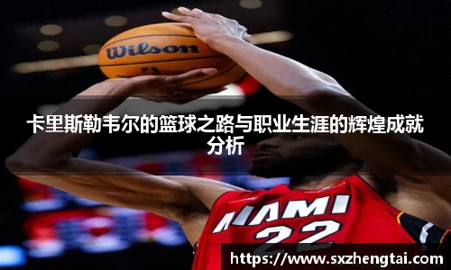 球速体育平台入口